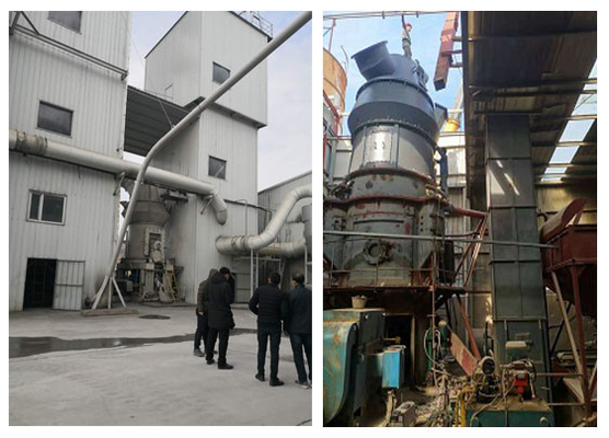 बॉक्साइट कैल्शियम कार्बोनेट क्रशिंग के लिए उद्योग कार्यक्षेत्र रोलर रॉ मिल सीमेंट